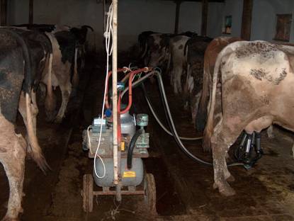 Basit sistem sa??m makinesi